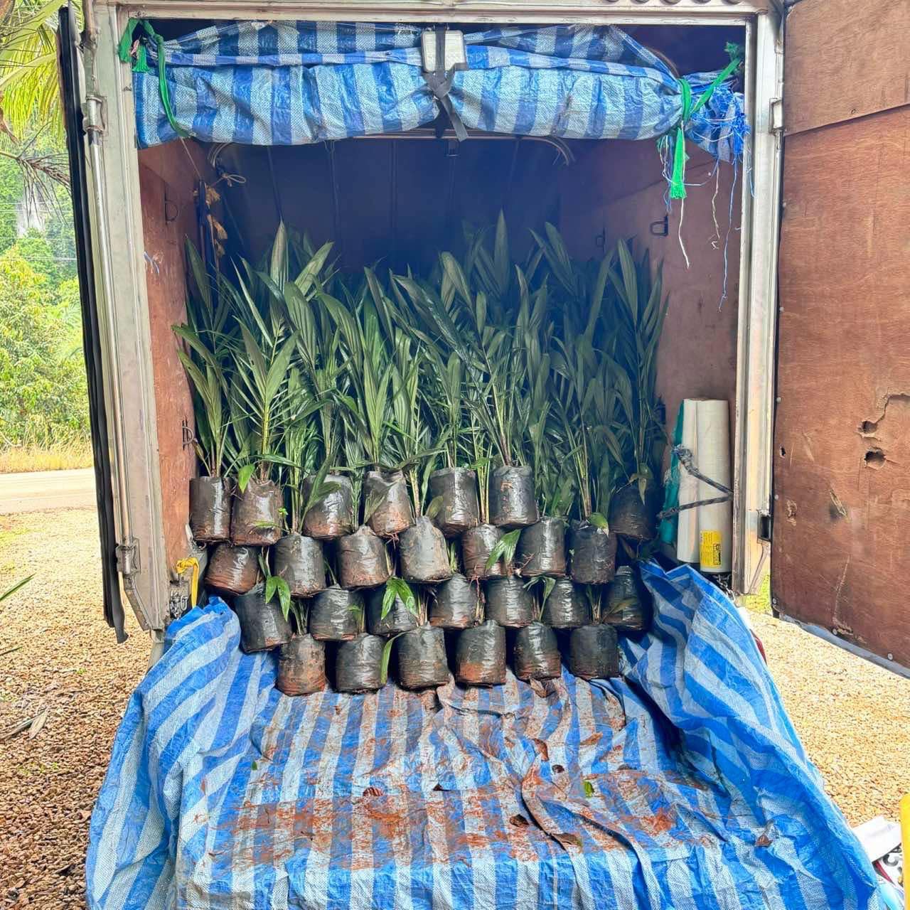 line_oa_chat_250306_153246_group_6